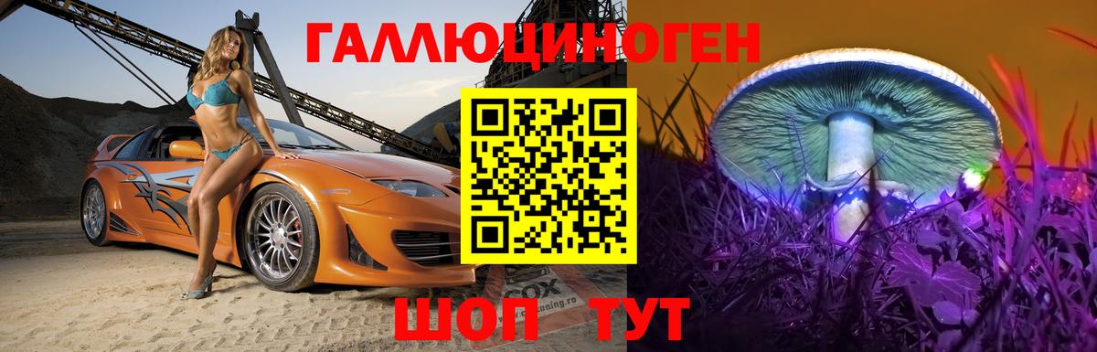 Галлюциногенные грибы Cubensis  Вход с VPN  Галлюциногенные грибы Psilocybe  Бутурлиновка 